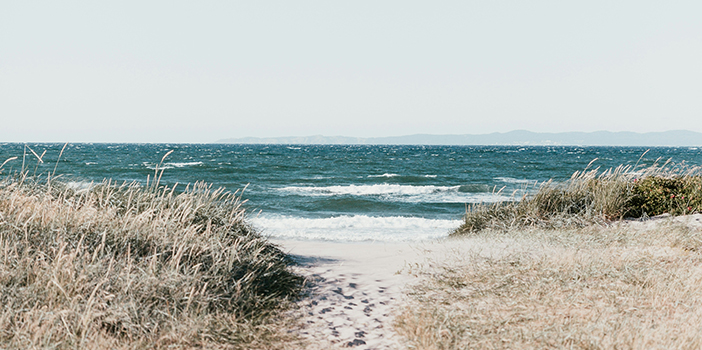 Danish beach